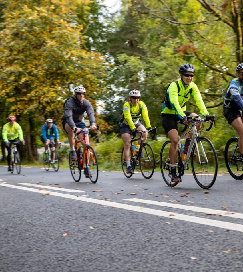 Guests cycling through scenic autumn forest, enjoying lush greenery and crisp air, near hotel with bike rental services.