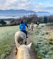 Horse Riding, Killarney National Park, Co Kerry_master (2)