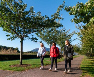 Killarney House and Gardens, Killarney National Park, Co Kerry_master (7)