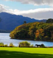 Purple Mountain over Muckross Lake,Muckross, Killarney Co. Kerry.