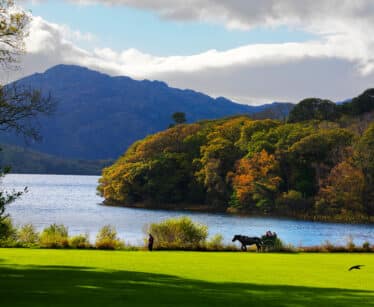 Purple Mountain over Muckross Lake,Muckross, Killarney Co. Kerry.