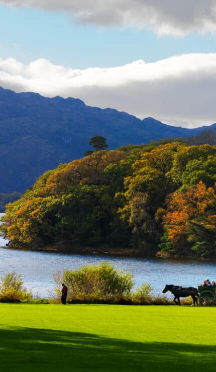 Purple Mountain over Muckross Lake,Muckross, Killarney Co. Kerry.