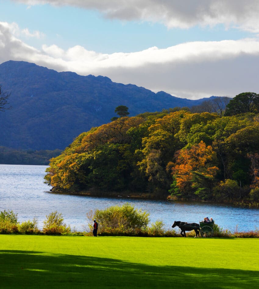 Purple Mountain over Muckross Lake,Muckross, Killarney Co. Kerry.
