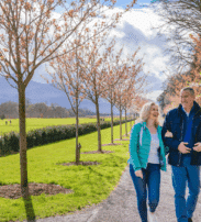 Killarney National Park Walk