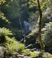 Torc Waterfall, Killarney National Park, Co Kerry_master