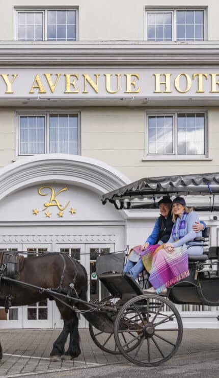 exterior-jaunting-car-killarney-avenue-hotel