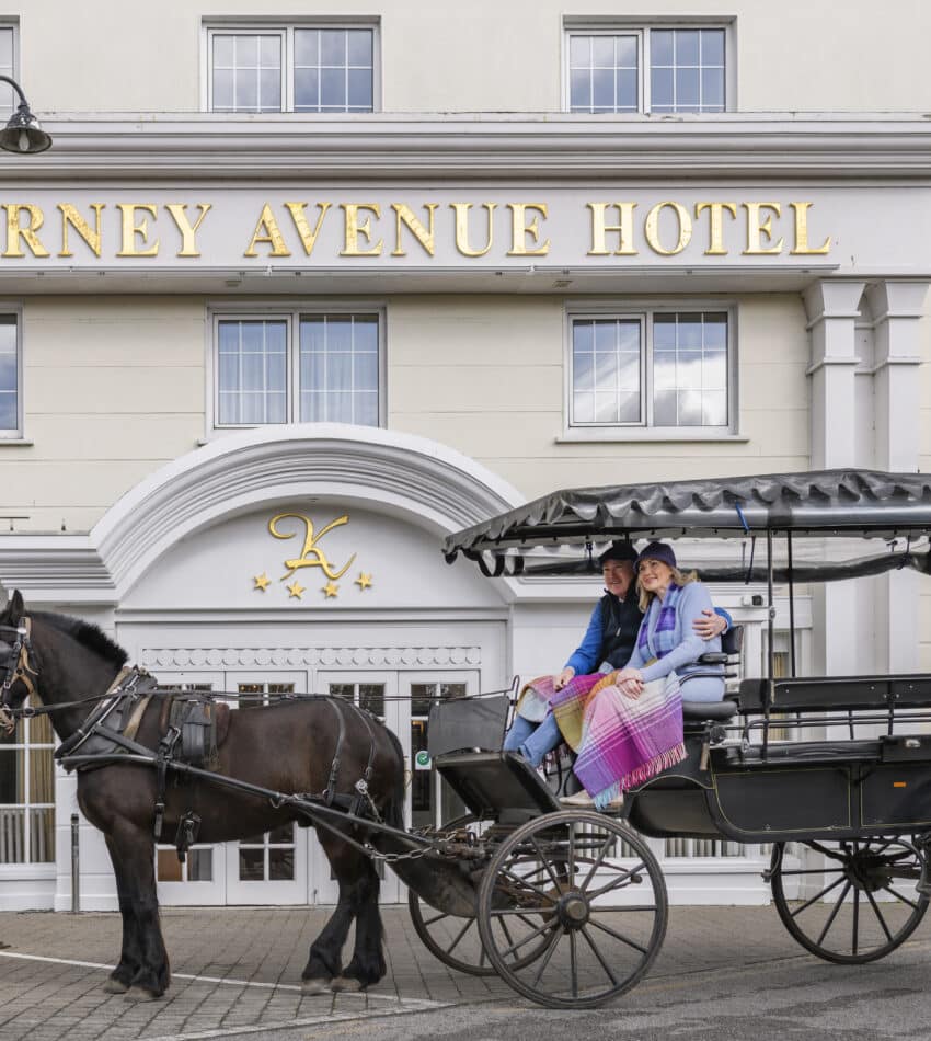 exterior-jaunting-car-killarney-avenue-hotel