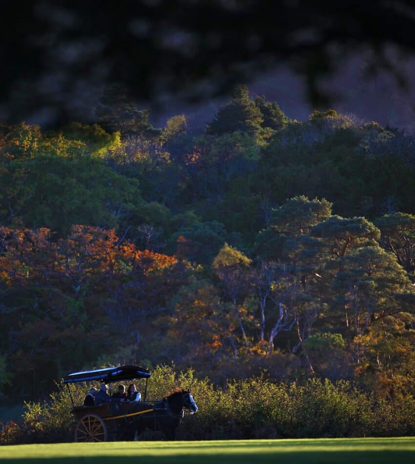 482019233_1073054431533241_5873342719401847948_n