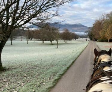 488918351_1238144631650771_6176524735856102401_n