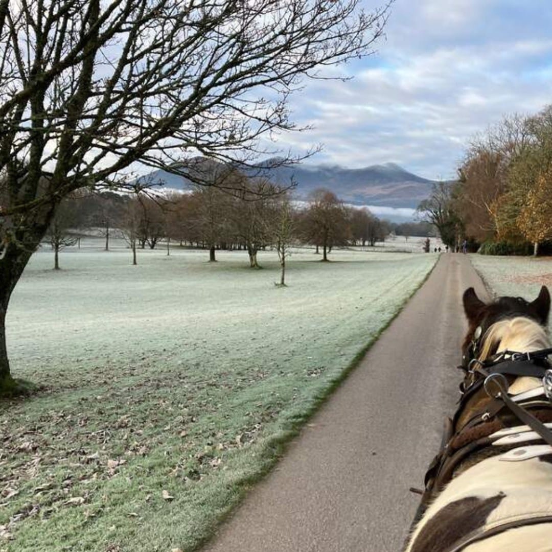 Stay Longer for Less – Up to 20% Off