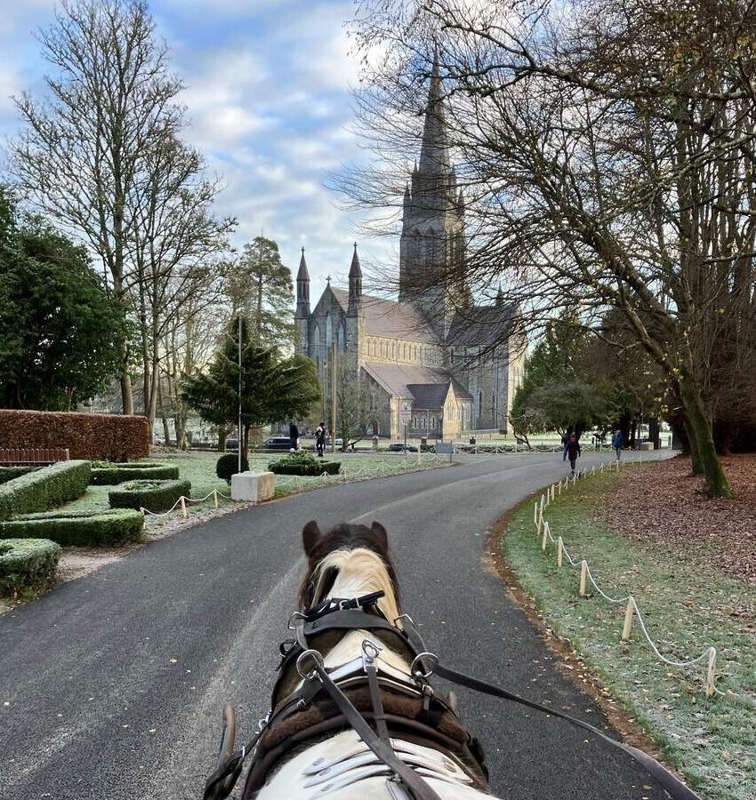 488922624_1259289719532740_333882215535682631_n