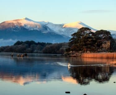 Scenic lake view with swan, snowy mountains, serene surroundings, ideal for relaxation at a tranquil lakeside retreat.