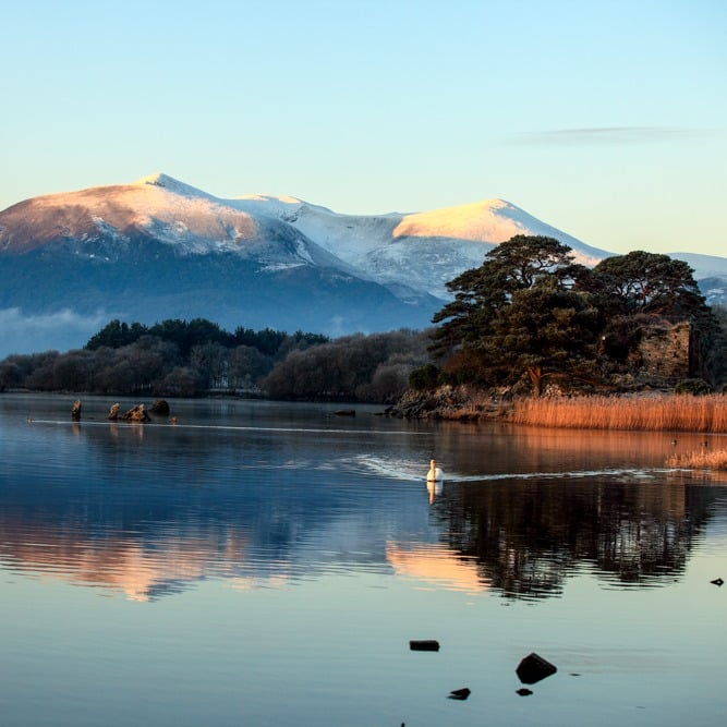 491910998_1270723495056029_1703841091795466393_n (1)