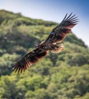 492011286_1253517903446777_4603471428432100172_n