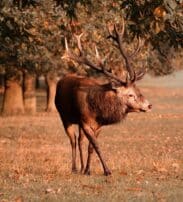 552718640_1419441020184275_2006701605012150921_n