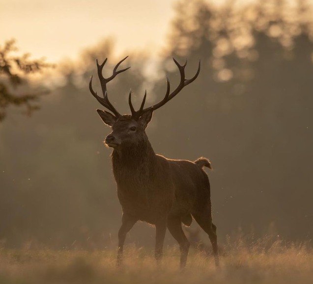 492103886_1269686578493054_669532771816935903_n (1)