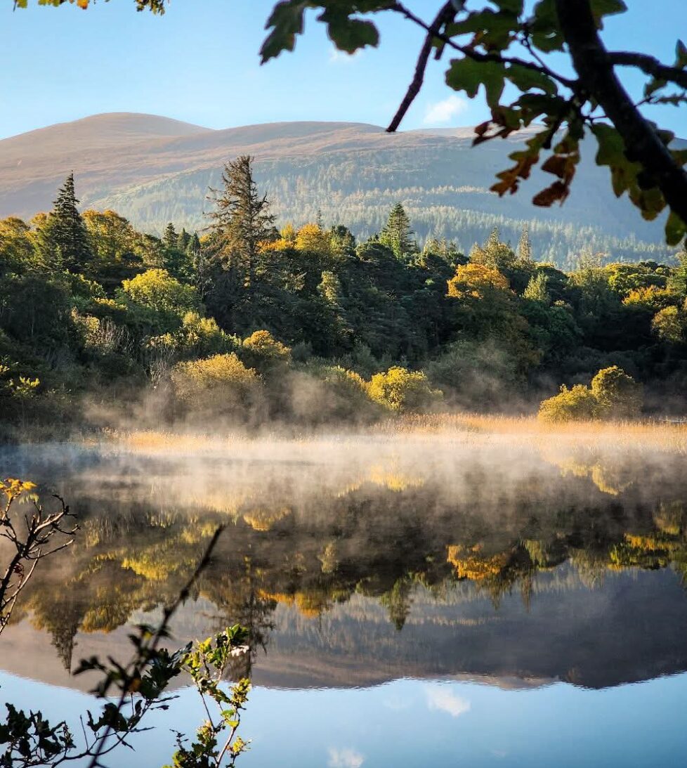 550441815_1391062593025640_8736138716070923628_n (2)