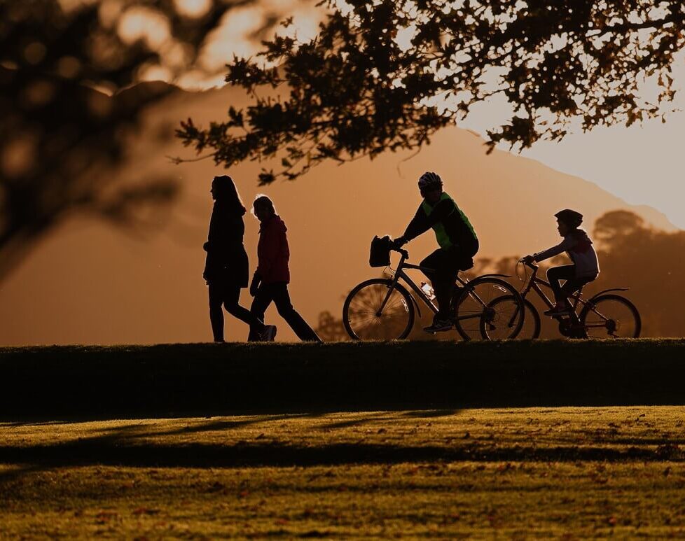 Guests cycling and walking at sunset under trees, enjoying serene views and peaceful atmosphere near the hotel grounds.