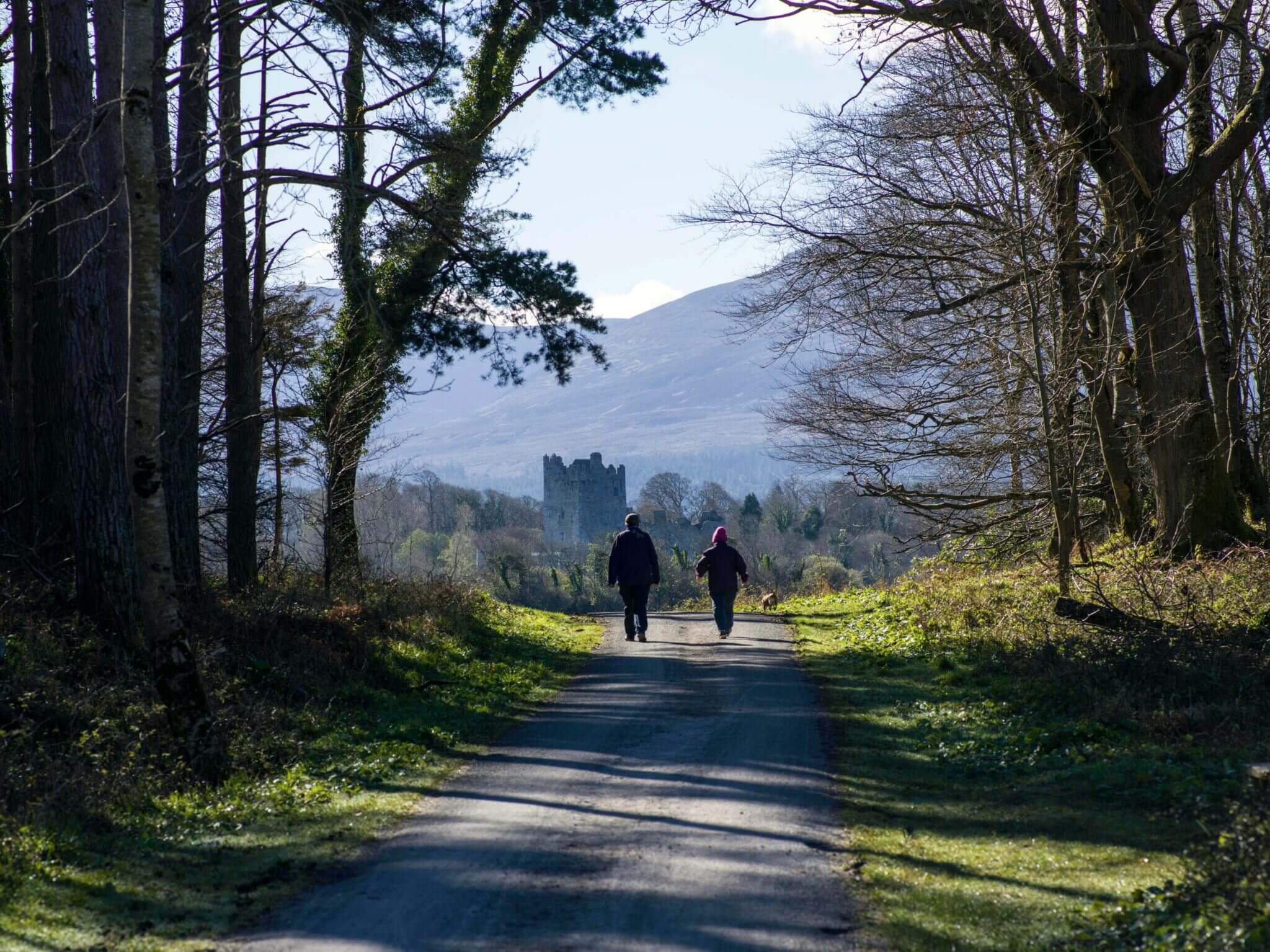 Guests walking along a serene forested path towards a historic castle with scenic mountain views, perfect for a tranquil retreat.