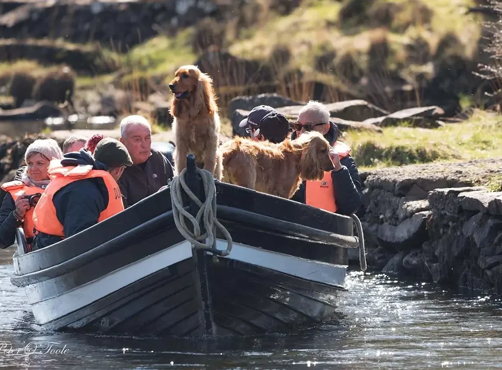 Guests enjoy scenic boat ride with dogs on tranquil lake near hotel, surrounded by lush greenery, wearing life vests.