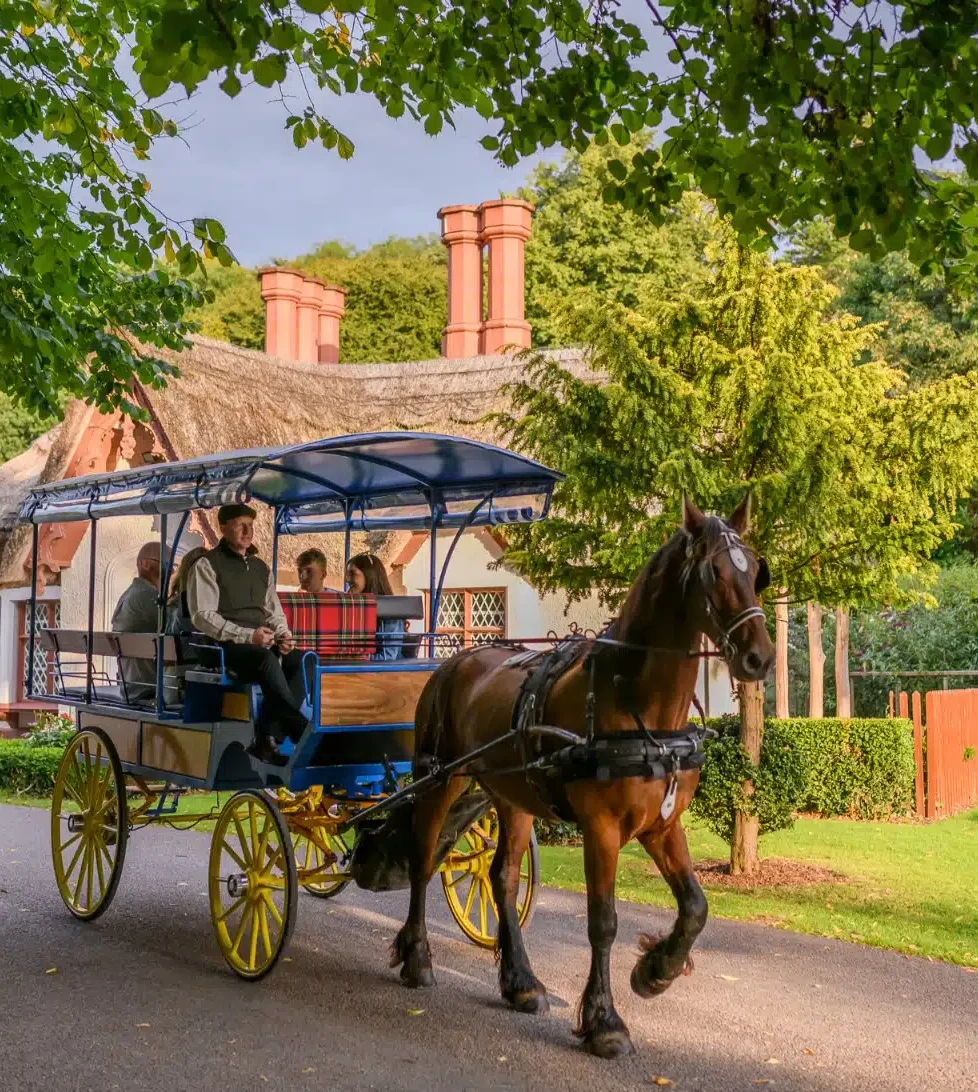 Guests enjoy a scenic horse-drawn carriage ride by a charming thatched cottage, surrounded by lush greenery at the countryside hotel.