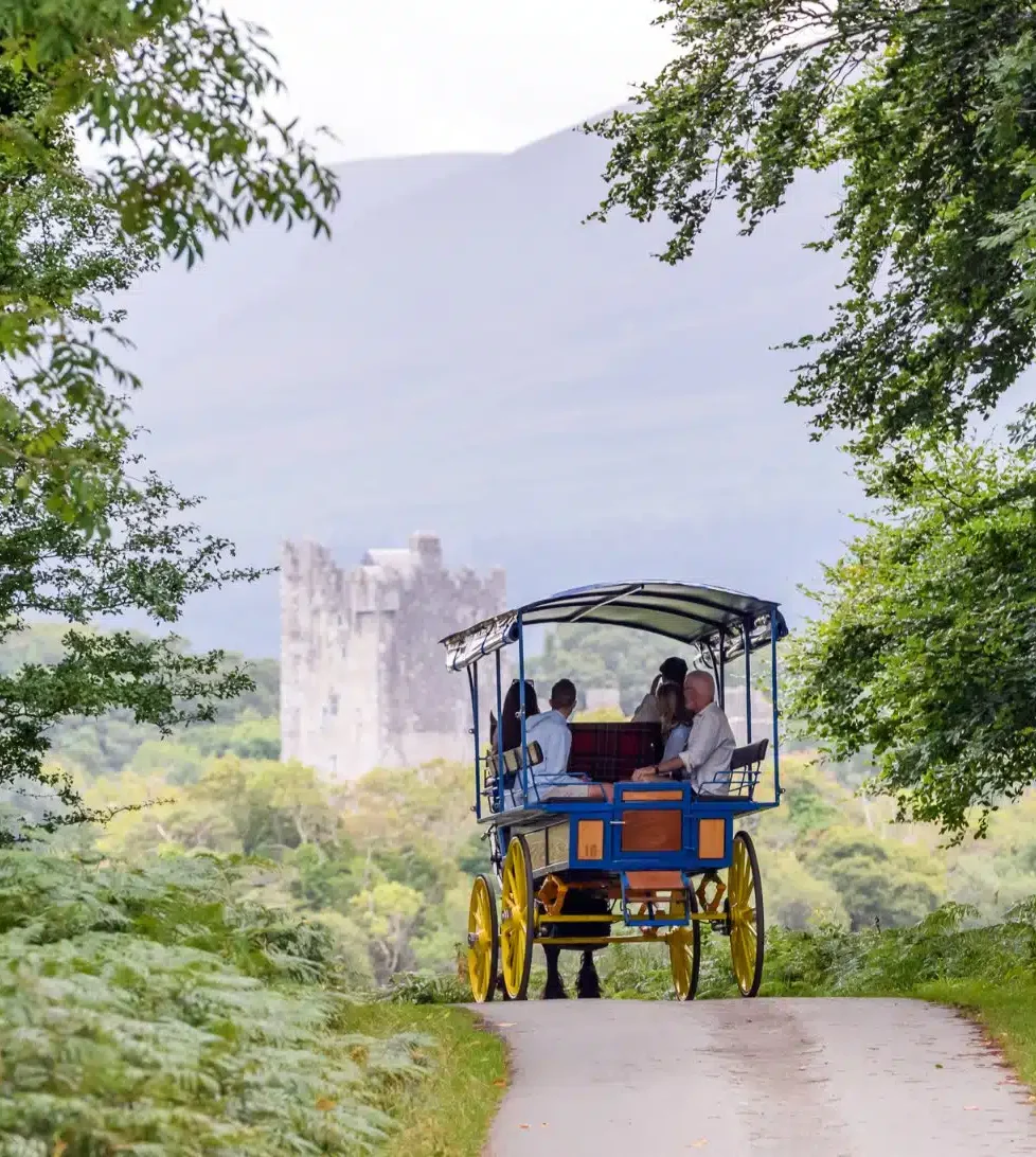 Scenic carriage ride to historic castle amid lush greenery, ideal for relaxing getaways and photo opportunities.